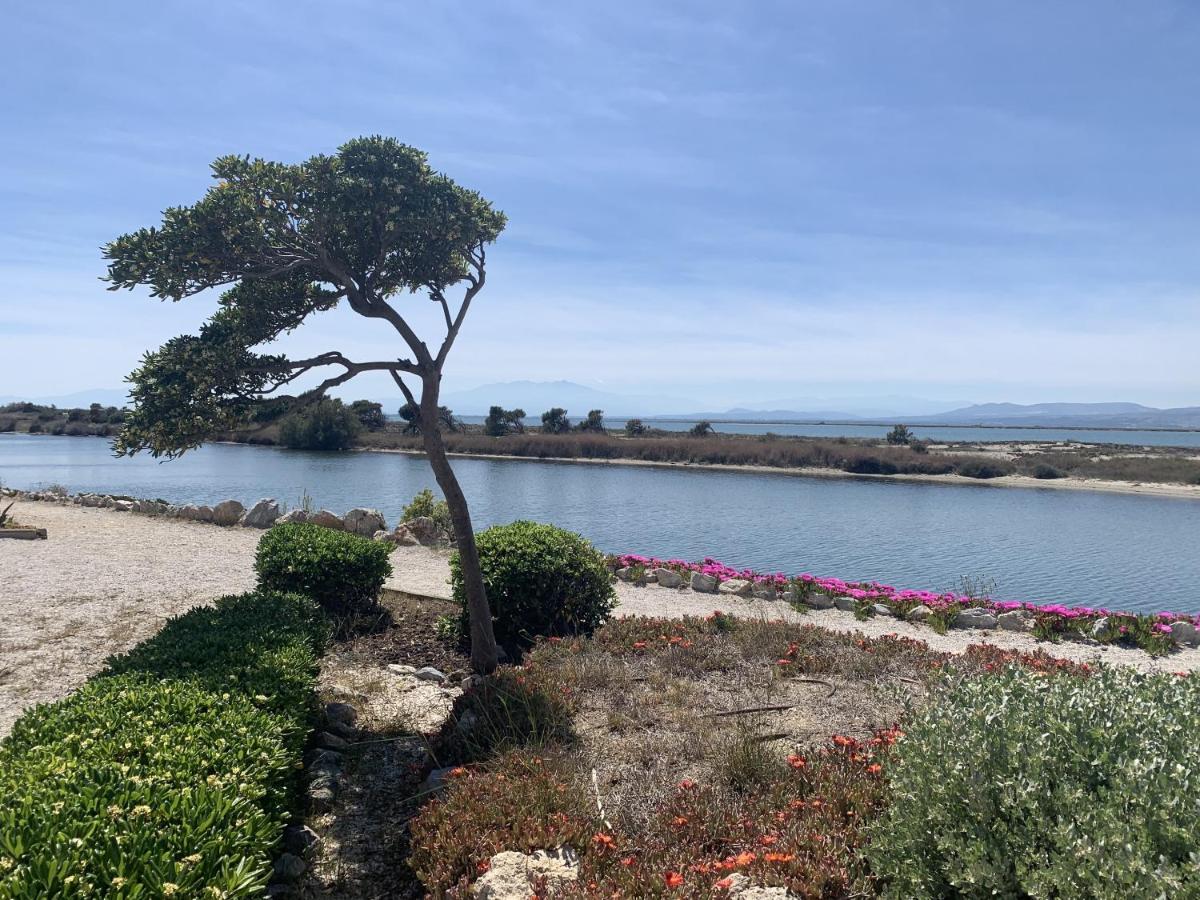 Maison 6P - Lac Marin Leucate Dış mekan fotoğraf