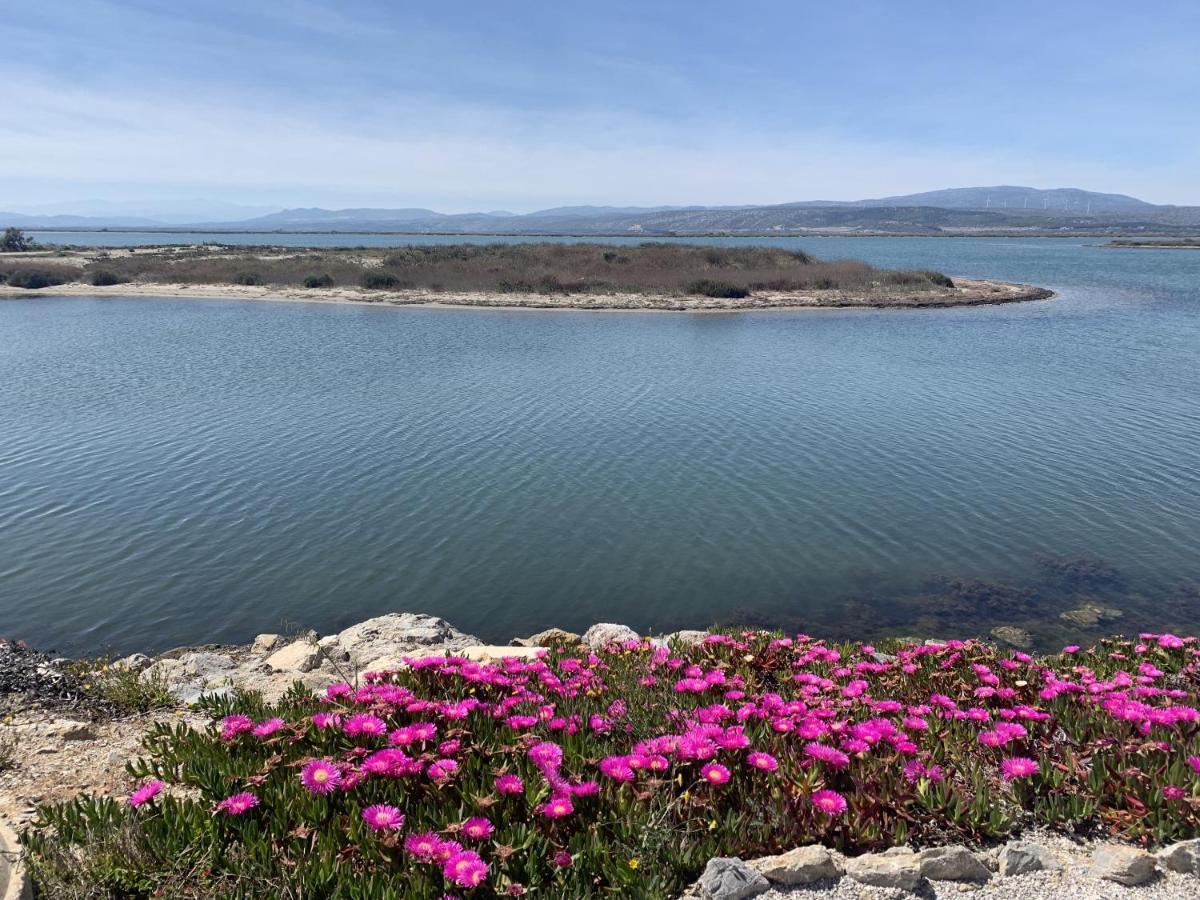 Maison 6P - Lac Marin Leucate Dış mekan fotoğraf